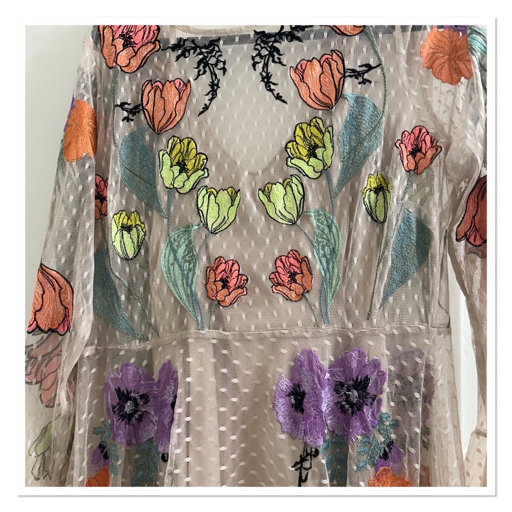 ASOS Sheer Dress with Floral Embroidery